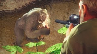 HARAMBE The True Story – SFM Animation [upl. by Jeffy]