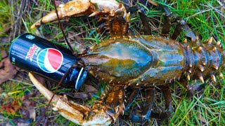 Catching MASSIVE crayfish in a flooded river [upl. by Hammond]