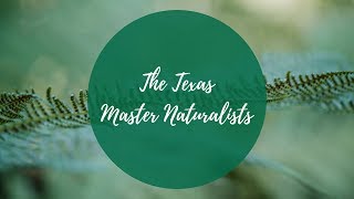 The Texas Master Naturalists [upl. by Sylas]