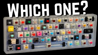 How to Choose the Perfect Switch For YOU [upl. by Burchett]