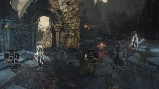 DS3 split screen nucleus coop [upl. by Carter460]