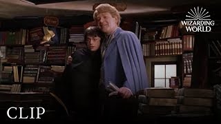 Gilderoy Lockhart  Harry Potter and the Chamber of Secrets [upl. by Fulviah]