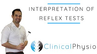 Interpretation of Reflex Tests  Clinical Physio [upl. by Bullis]