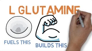 L GLUTAMINE  WHAT DOES GLUTAMINE DO [upl. by Absalom]