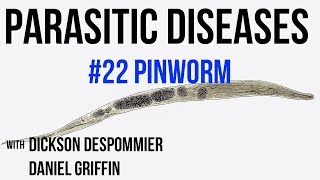 Parasitic Diseases Lectures 22 Pinworm [upl. by Assiral]