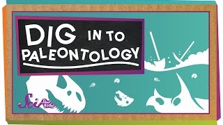 Dig In To Paleontology [upl. by Gnort]