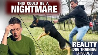 We need to talk This will NOT be easy Reality Dog Training Episode 3 [upl. by Leiand]