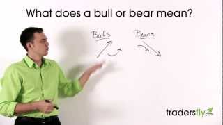 What Does a Bull and Bear Mean in the Stock Market [upl. by Nosneh]