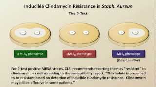 Antibiotic Resistance Antibiotics  Lecture 9 [upl. by Almap]