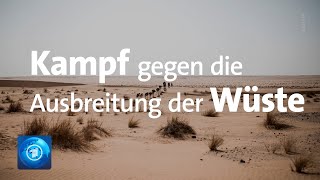 Grüne Mauer Afrikas Kampf gegen die Ausbreitung der Sahara [upl. by Nive]