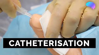 Catheterisation  OSCE Guide  UKMLA  CPSA  PLAB 2 [upl. by Atal944]