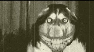 Creepypasta  SmileDog  El Origen de Mi Castigo [upl. by Eidua]