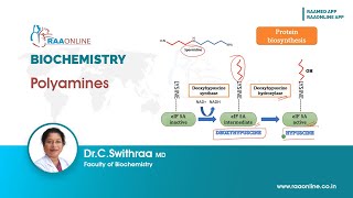 Polyamines [upl. by Jennica64]