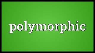 Polymorphic Meaning [upl. by Arvind]