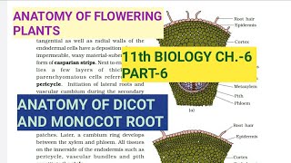 Class 11 BiologyCh6 Part6Anatomy of Dicot amp Monocot RootStudy with Farru [upl. by Faust]