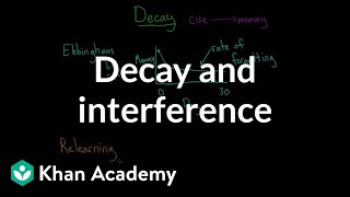 Decay and interference  Processing the Environment  MCAT  Khan Academy [upl. by Acino957]