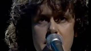 Donovan In Concert 1981 Rare Performance [upl. by Schumer]