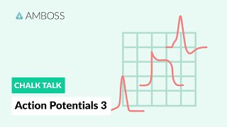 Action Potentials  Part 3 Skeletal Muscle Action Potential [upl. by Stace]