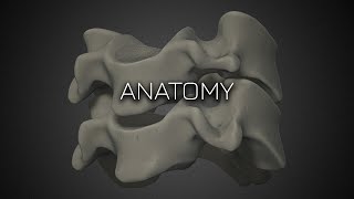 Cervical Spine Radiographic Anatomy  Featured Video [upl. by Ojela]