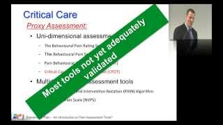 18 Pain assessment tools [upl. by Efrem34]