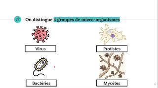 Les microorganismes 🦠 [upl. by Aknaib752]