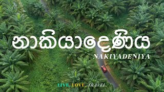 Nakiyadeniya Travel Vlog [upl. by Vtarj]