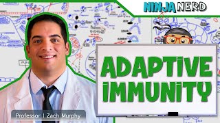 Immunology  Adaptive Immunity [upl. by Cowley]