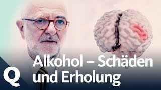 Wie gut kann sich der Körper vom Alkohol erholen  Quarks [upl. by Vale]