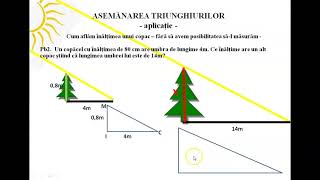 Asemănarea triunghiurilor  aplicații practice [upl. by Nalyorf276]