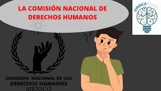 LA COMISIÓN NACIONAL DE DERECHOS HUMANOS [upl. by Najib652]