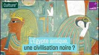 LÉgypte antique une civilisation noire  La thèse controversée de Cheikh Anta Diop [upl. by Milicent495]