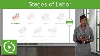 Stages of Labor Stages 1 2 amp 3 of Normal Labor – Obstetrics  Lecturio [upl. by Gilbart]