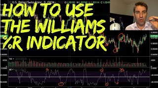 How to Use the Williams R Indicator 📈 [upl. by Higgs450]