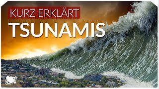 Tsunamis  Einfach Erklärt 2019 [upl. by Dnalevelc]