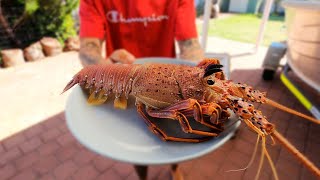 How To Clean Crayfish And Freeze Tails Western Rock Lobster [upl. by Xela]