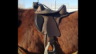 Introduction to Treeless Saddle Fit and the EDIX Saddle System [upl. by Dinnie]