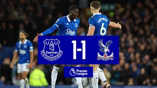 PREMIER LEAGUE HIGHLIGHTS EVERTON 11 CRYSTAL PALACE [upl. by Dnalyk]