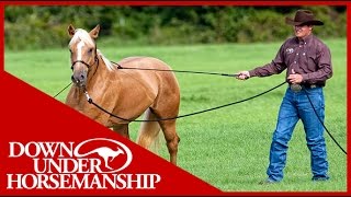 Clinton Anderson Training a Rescue Horse Part 1  Downunder Horsemanship [upl. by Petersen]