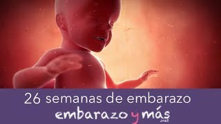 26 semanas de embarazo  Sexto mes  EMBARAZOYMAS [upl. by Brag]