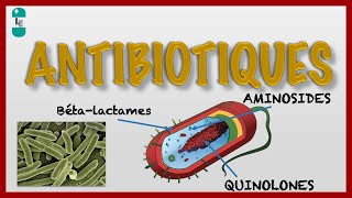 Les Antibiotiques et leur Pharmacologie [upl. by Nika]