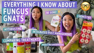 HOW TO PREVENT  GET RID OF FUNGUS GNATS  Plant pest management deep dive– everything I know 🤓 [upl. by Rosati]