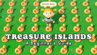 How to use Treasure Islands in Animal Crossing New Horizons [upl. by Fabozzi80]