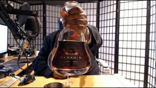 Hennessy Paradis Review [upl. by Anaihsat]