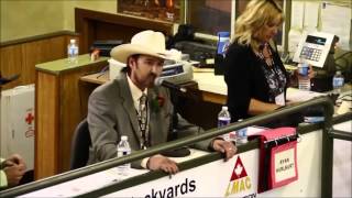 The Best Auctioneer  Rhett Parks [upl. by Eshman]