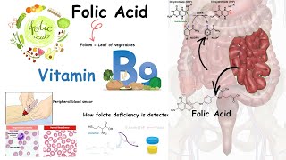 Folate  Vitamin B9 and folate deficiency [upl. by Madelaine]