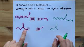 Butanoic Acid  Methanol  ESTER  water [upl. by Carmelo18]