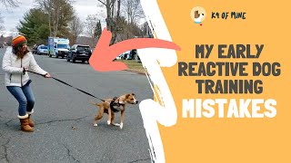 5 Things NOT To Do With Leash Reactive Dog Training [upl. by Nytram818]