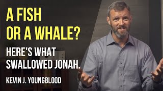 A fish or a whale Heres what swallowed Jonah [upl. by Frear341]