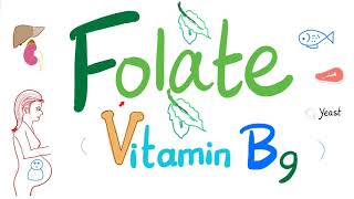 Vitamin B9 Folate 🥬  Folic  Structure Function Folate Deficiency Anemia Diagnosis amp Treatment [upl. by Eikcin518]