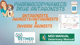 Drug Antagonists AgonistAntagonists and Inverse Agonists [upl. by Gurevich]